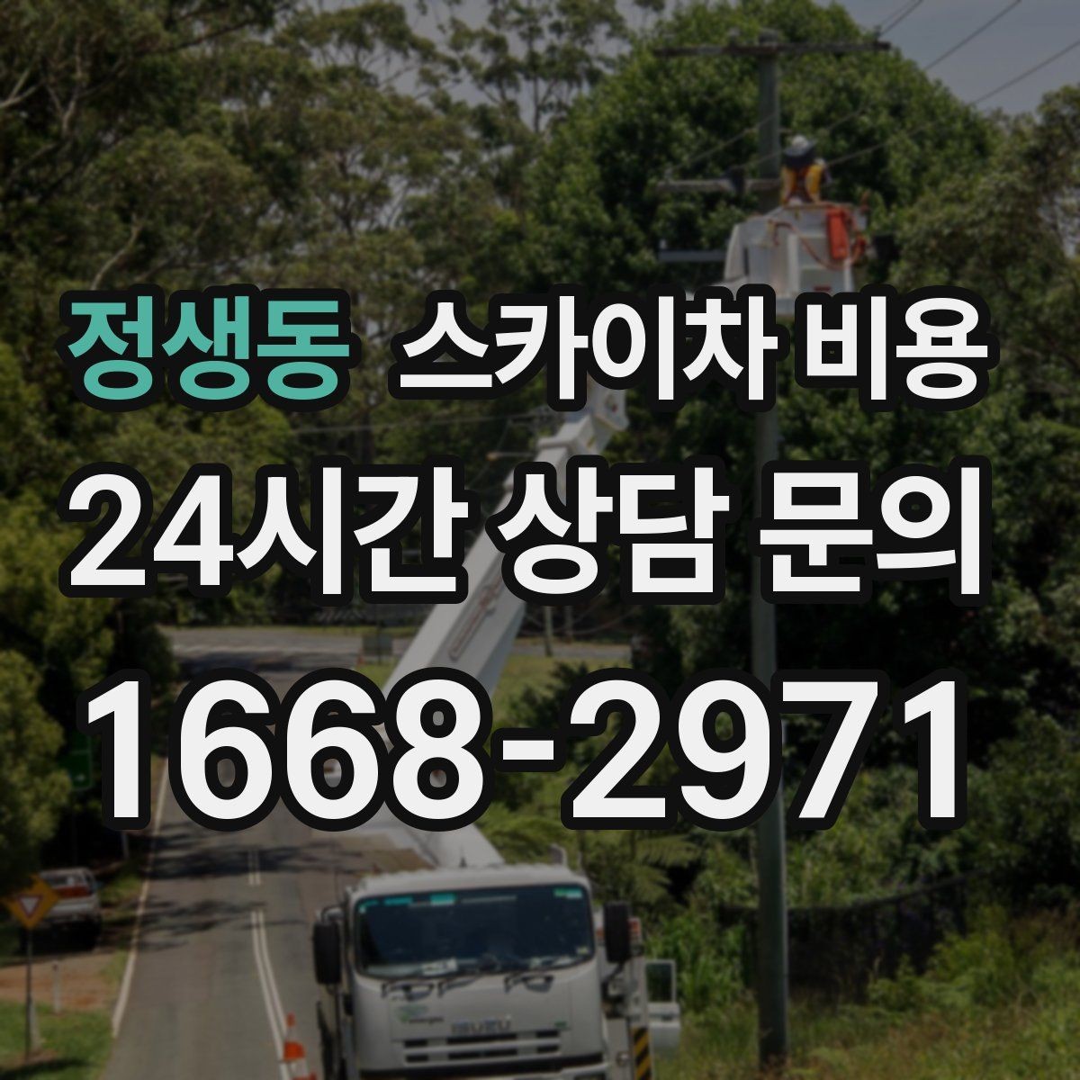 정생동 스카이차 비용 작업 위치가 전면·측면·후면이면 달라질까