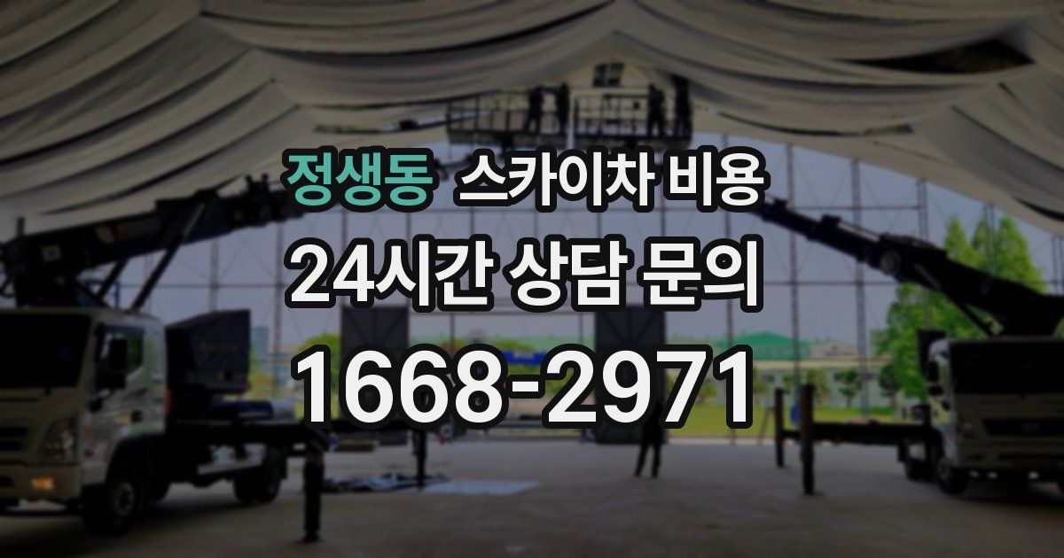 정생동 스카이차 비용