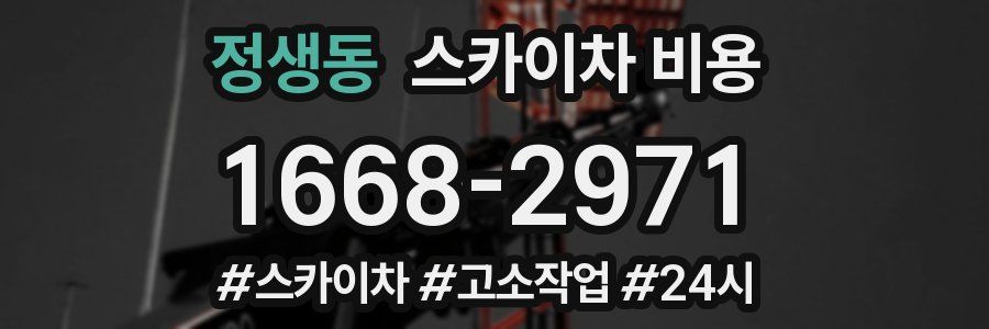 정생동 스카이차 비용