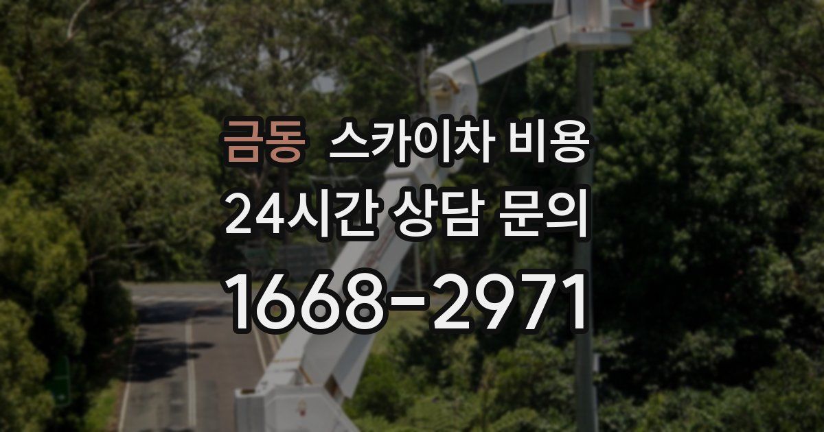 금동 스카이차 비용