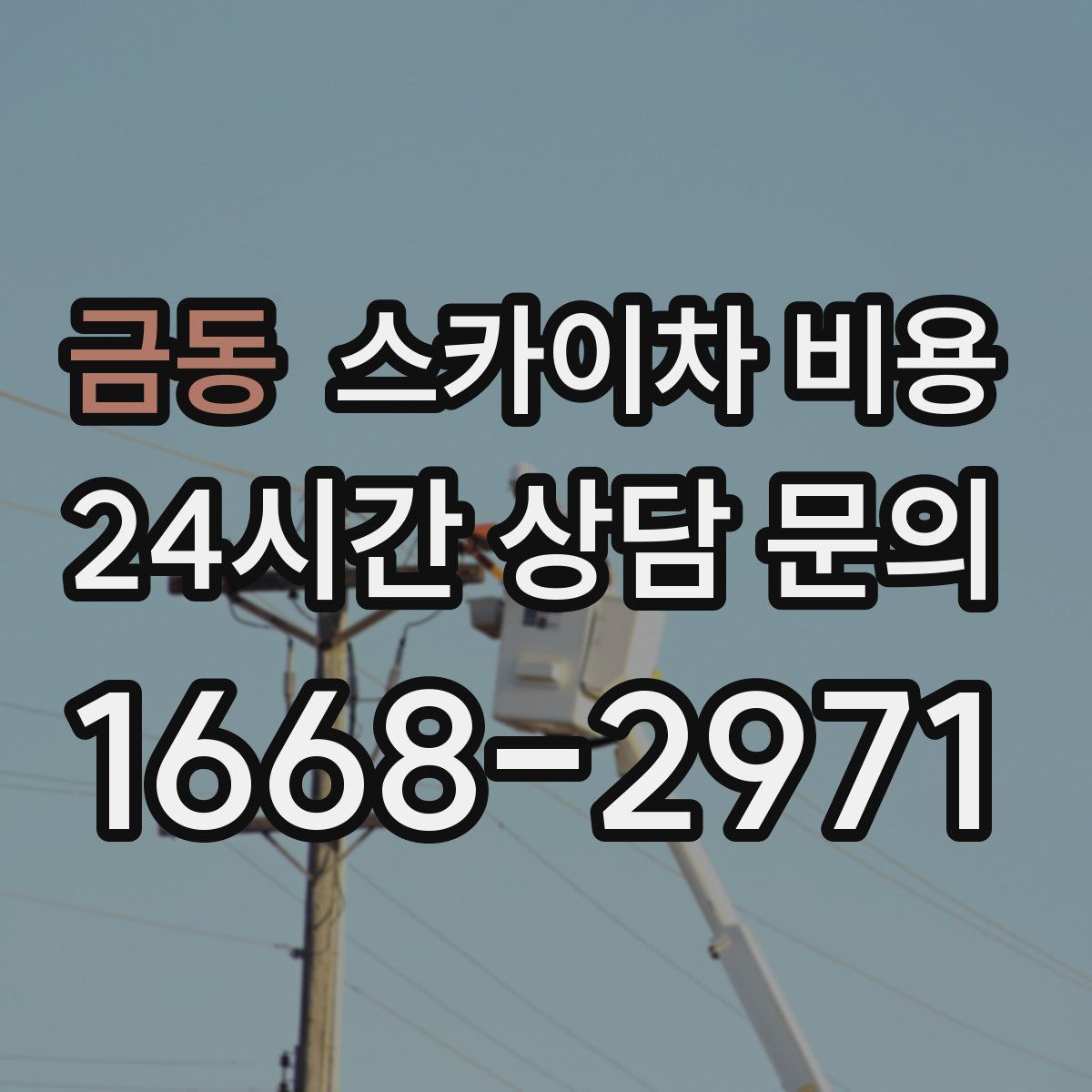 금동 스카이차 비용