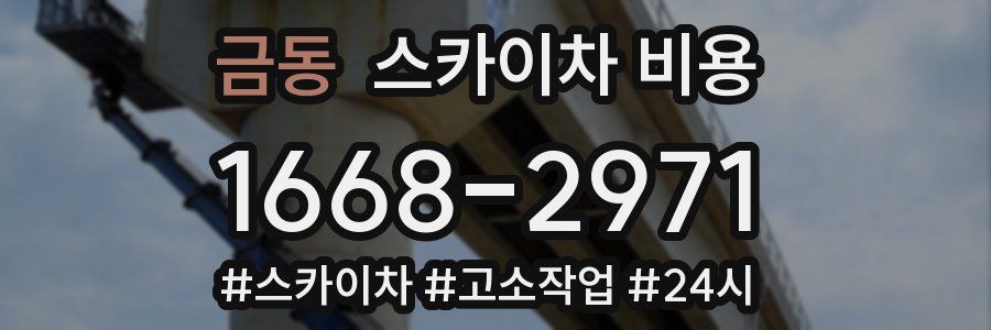 금동 스카이차 비용