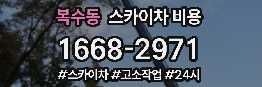 복수동 스카이차 비용