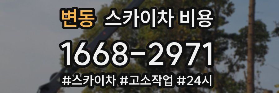 변동 스카이차 비용