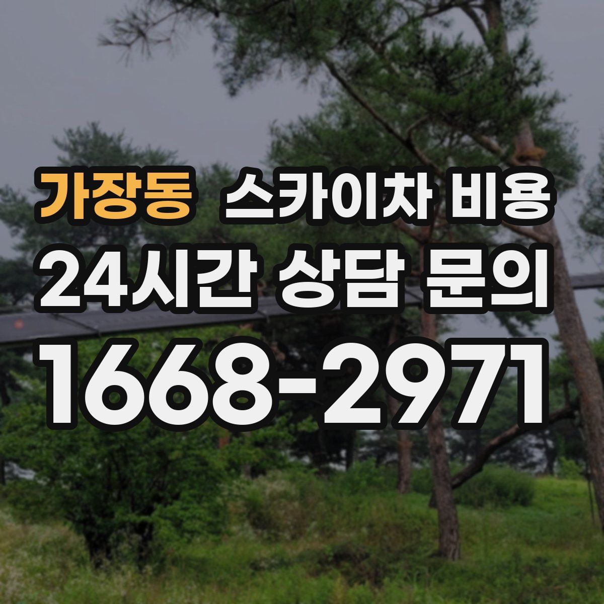 가장동 스카이차 비용