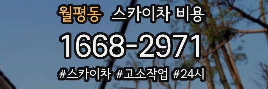 월평동 스카이차 비용