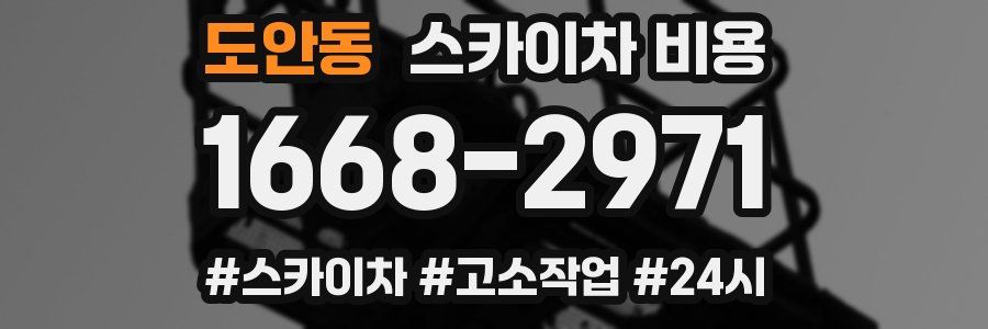 도안동 스카이차 비용