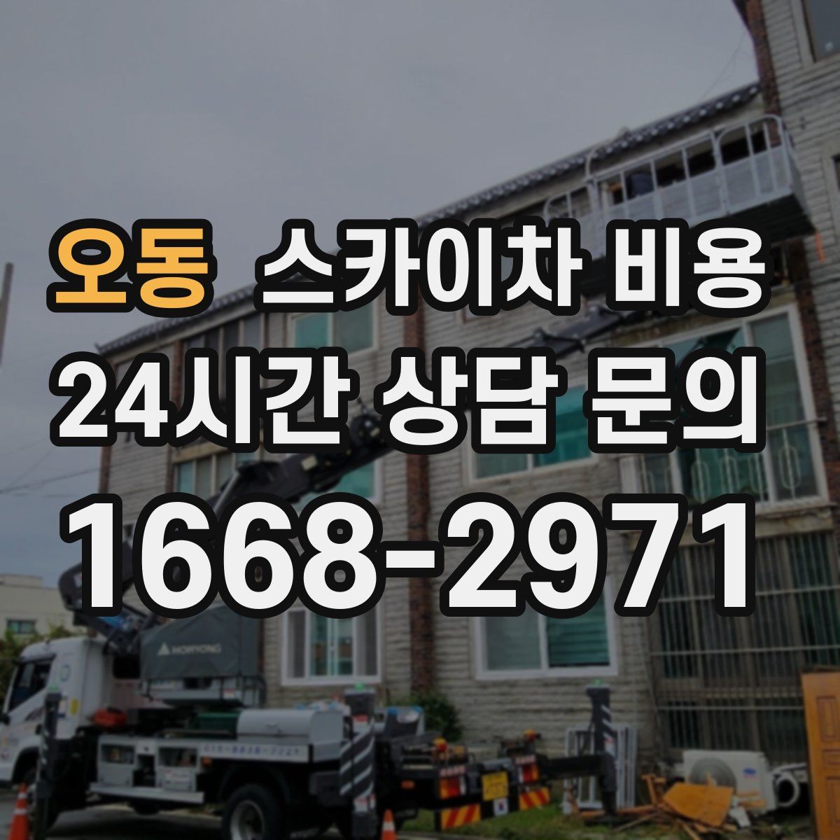 오동 스카이차 비용