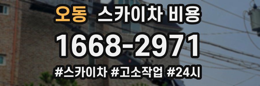 오동 스카이차 비용