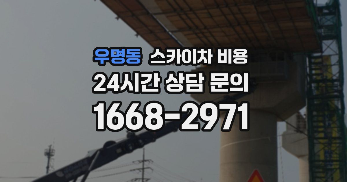 우명동 스카이차 비용