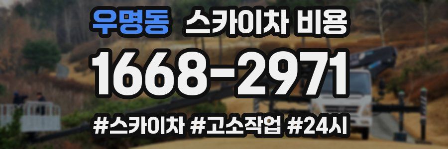 우명동 스카이차 비용