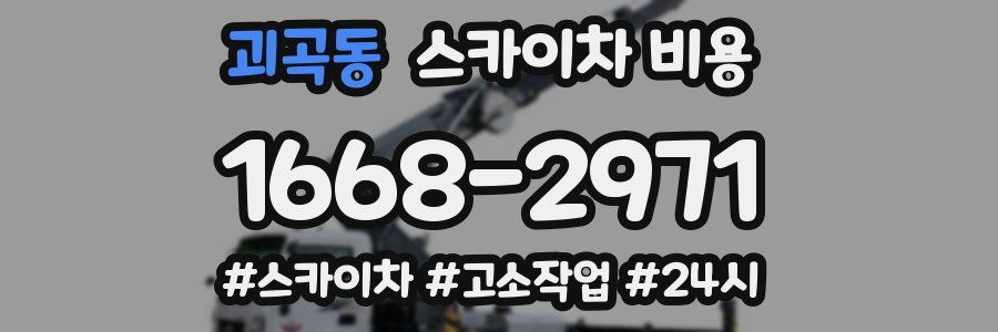 괴곡동 스카이차 비용