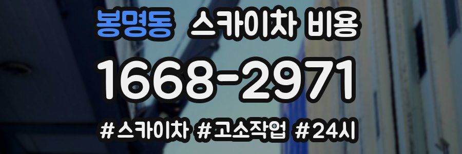 봉명동 스카이차 비용