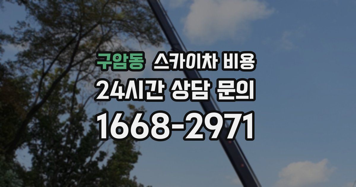 구암동 스카이차 비용