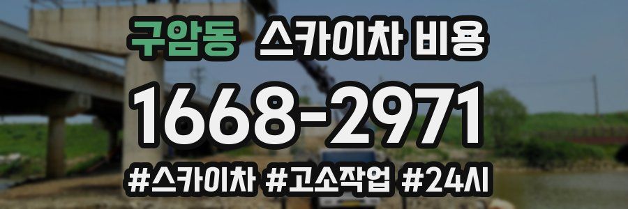 구암동 스카이차 비용