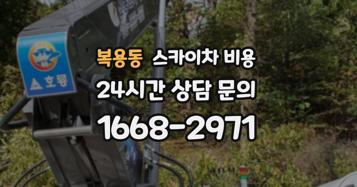 복용동 스카이차 비용