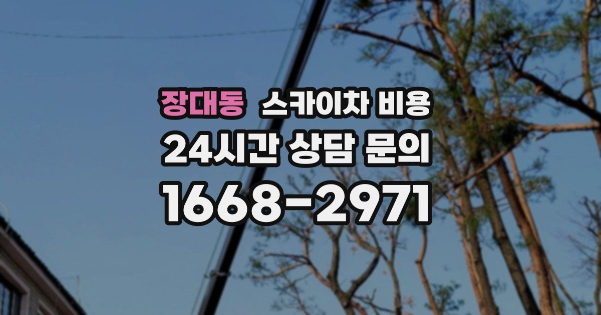 장대동 스카이차 비용