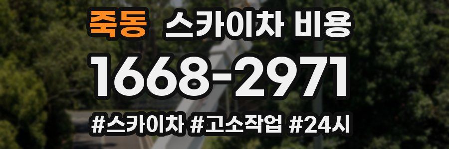 죽동 스카이차 비용