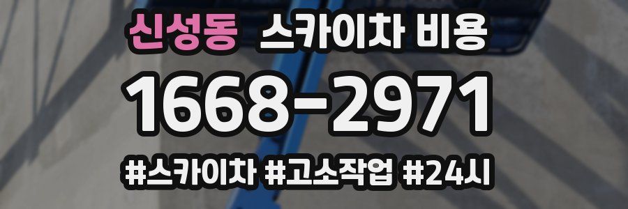 신성동 스카이차 비용