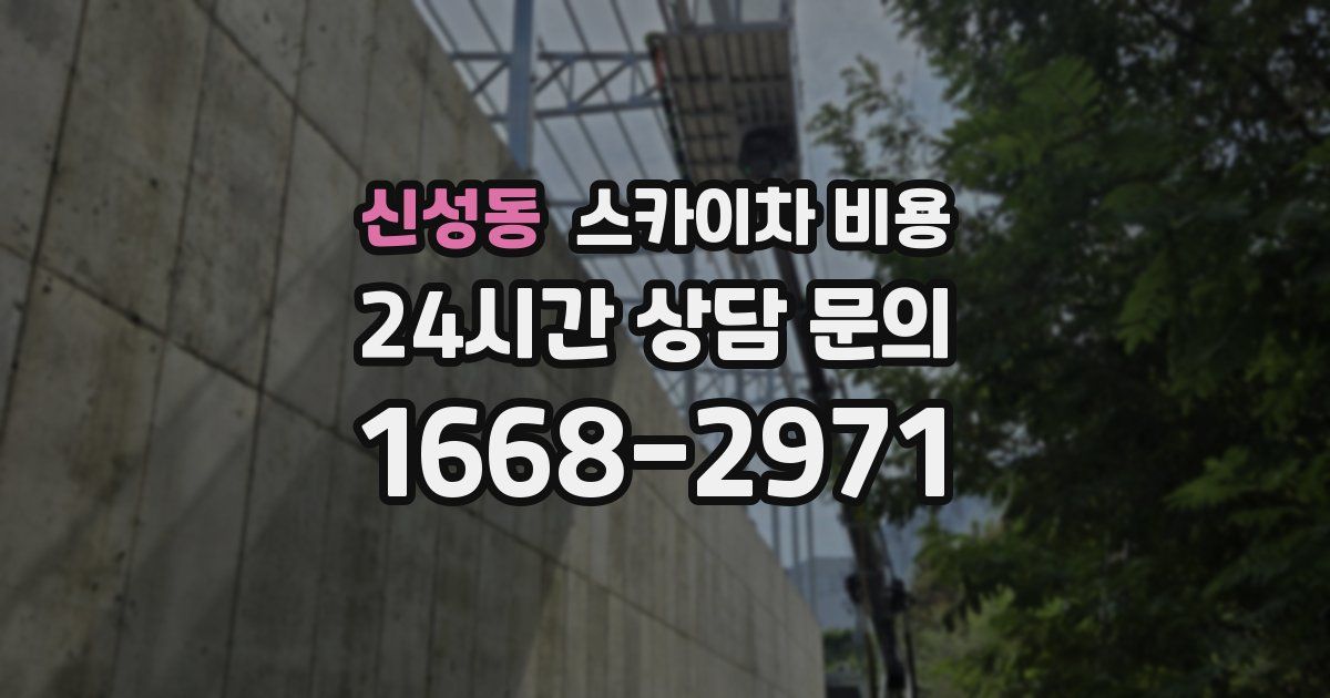 신성동 스카이차 비용