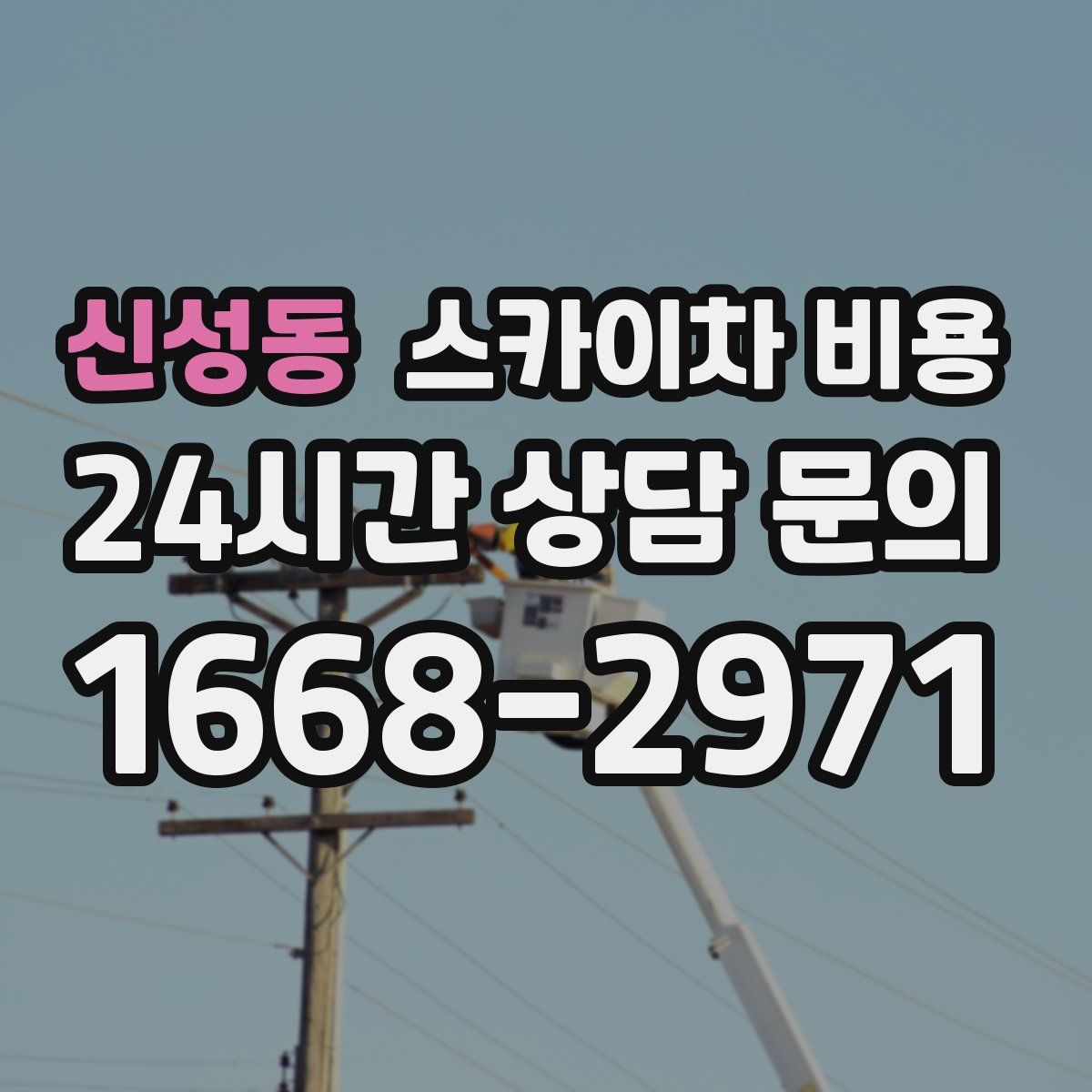 신성동 스카이차 비용