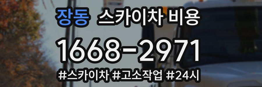 장동 스카이차 비용