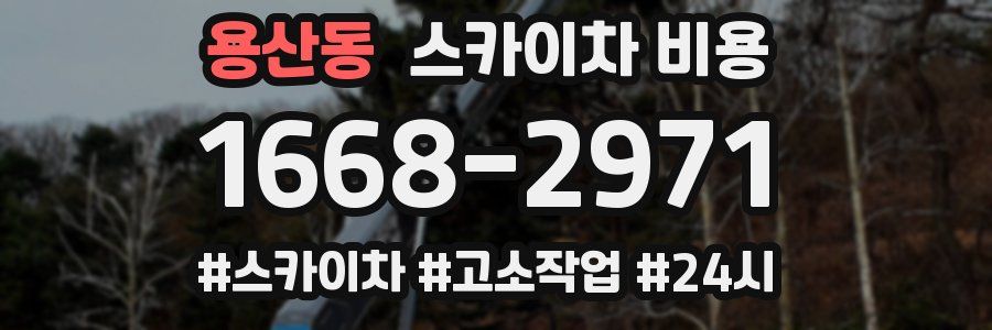 용산동 스카이차 비용