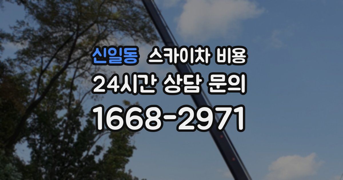 신일동 스카이차 비용