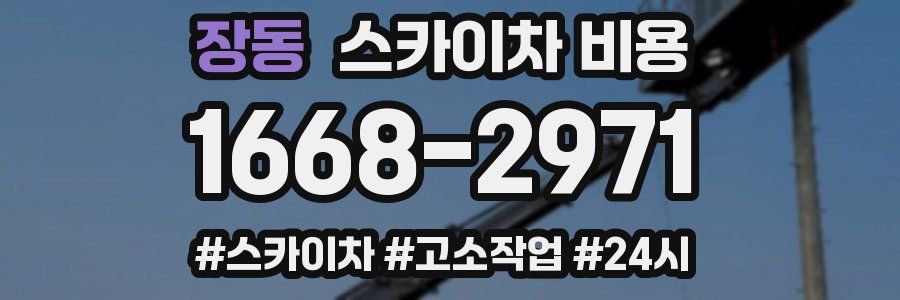 장동 스카이차 비용