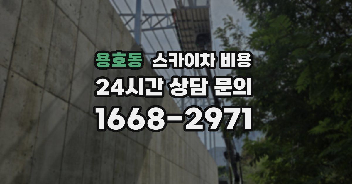 용호동 스카이차 비용