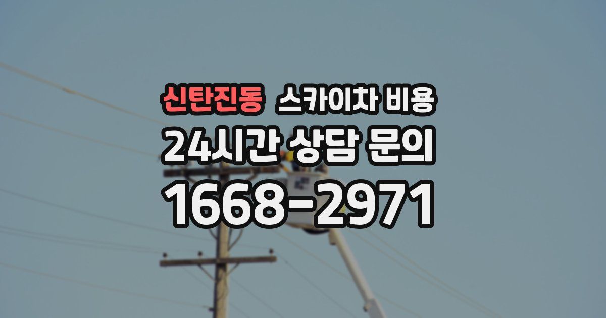 신탄진동 스카이차 비용