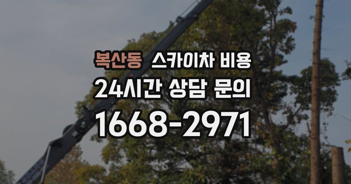 복산동 스카이차 비용