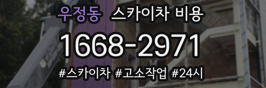 우정동 스카이차 비용