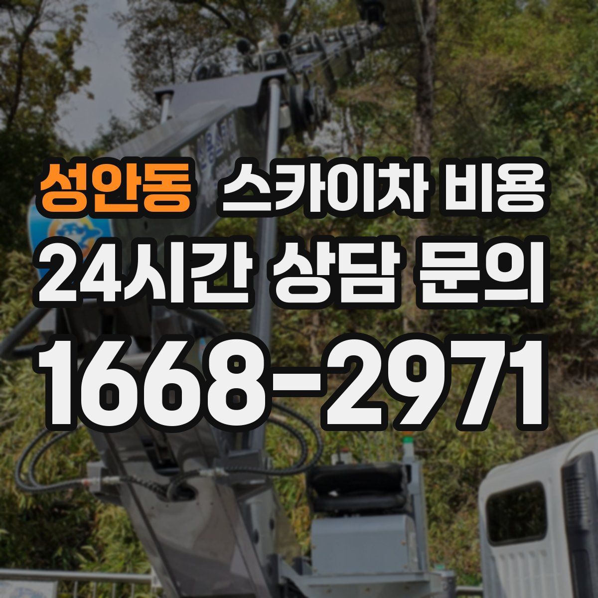 성안동 스카이차 비용