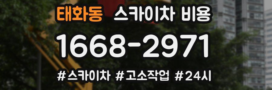 태화동 스카이차 비용