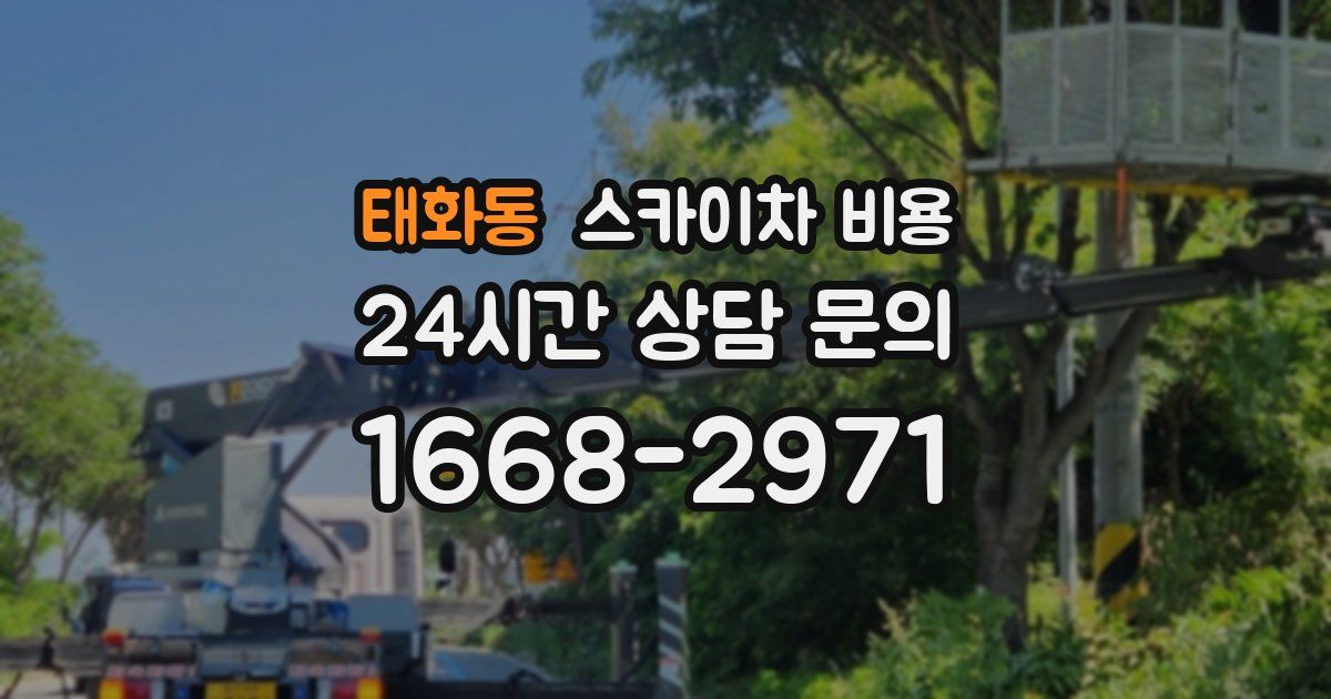 태화동 스카이차 비용