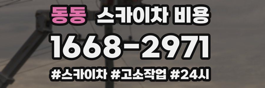 동동 스카이차 비용