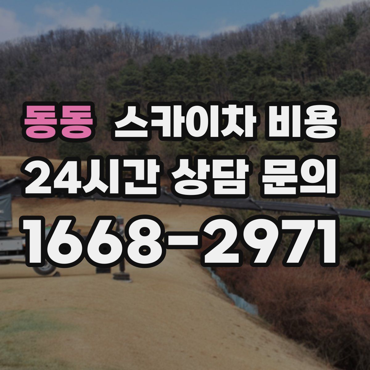 동동 스카이차 비용