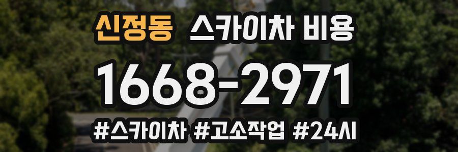 신정동 스카이차 비용