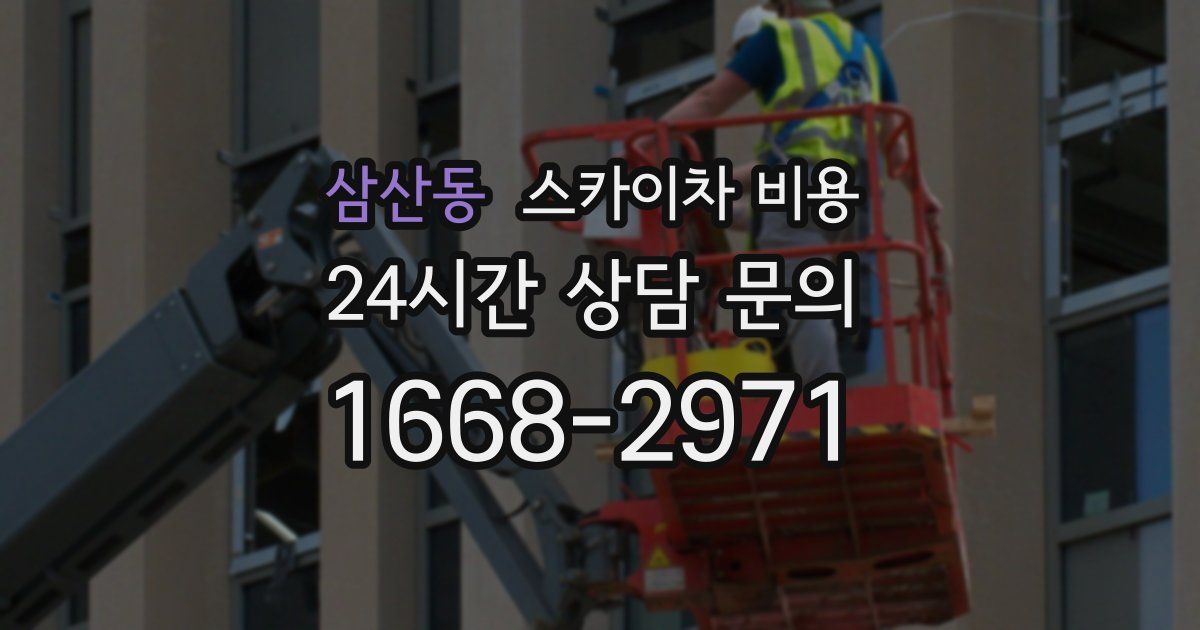 삼산동 스카이차 비용