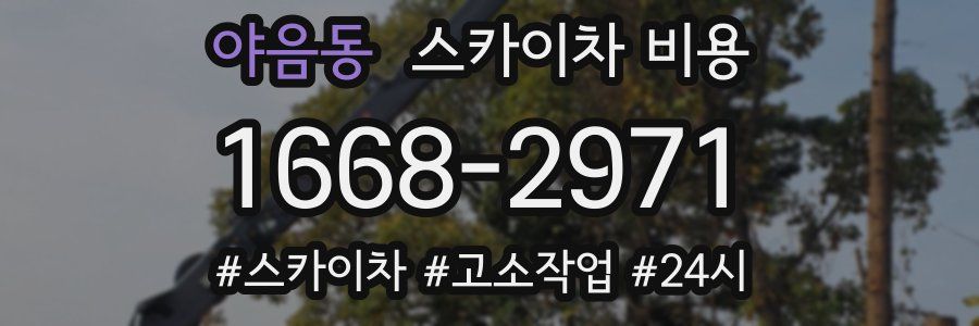 야음동 스카이차 비용