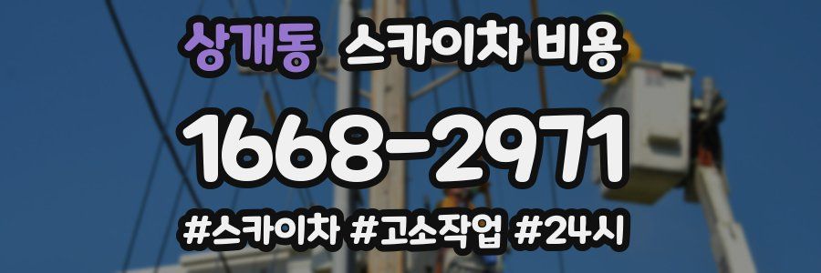 상개동 스카이차 비용