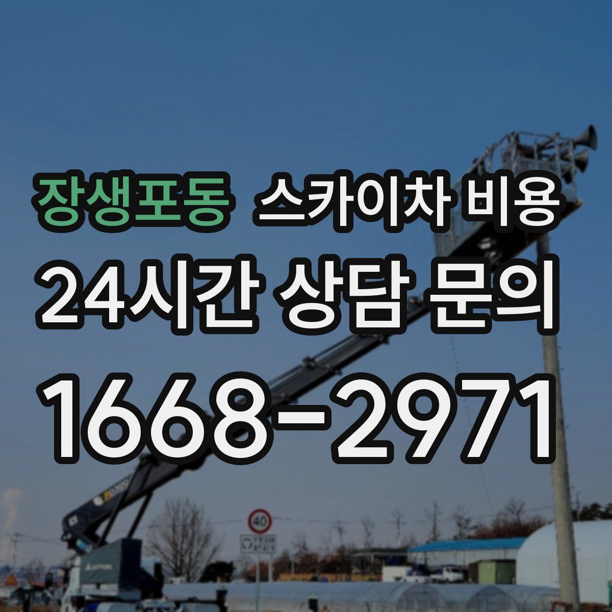 장생포동 스카이차 비용