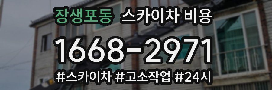 장생포동 스카이차 비용