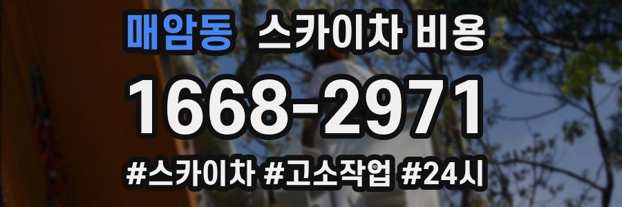 매암동 스카이차 비용