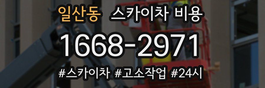 일산동 스카이차 비용