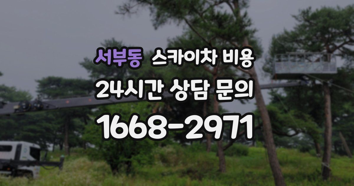 서부동 스카이차 비용