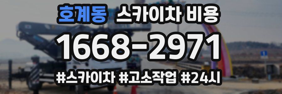 호계동 스카이차 비용