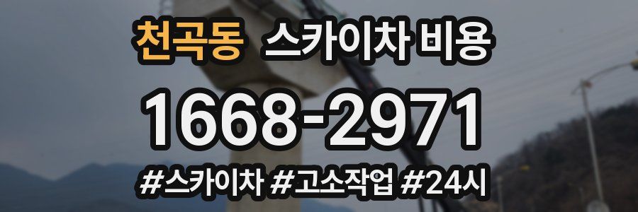 천곡동 스카이차 비용