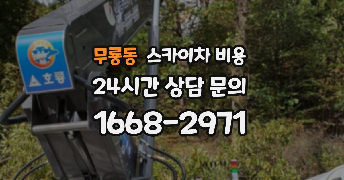 무룡동 스카이차 비용